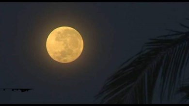 73145868 2BA3 40A4 A332 AB6F22F59B3C