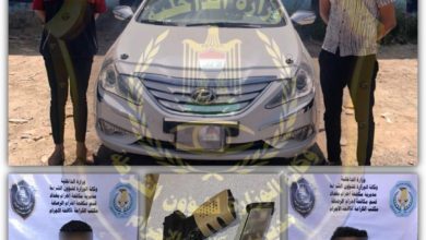 75950FD3 BF91 4454 A904 A1C85FD806B1