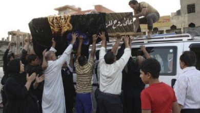 79F097B4 2C13 413B 8141 D65E7593D88C