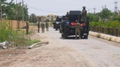 7E11672A B8EE 4A89 BD30 856C66083F81