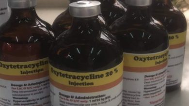 800C6696 0C29 4FF8 BE96 03383E9A3187