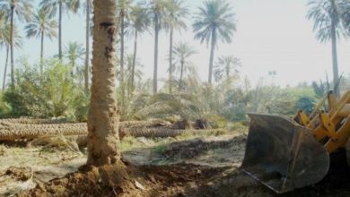 87DB028F E9B0 4035 BACE 8F7CFC315C85