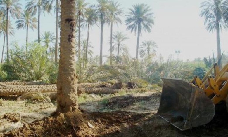 87DB028F E9B0 4035 BACE 8F7CFC315C85