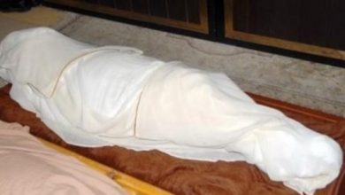 8A5DF982 0B94 42FA B104 3B40704B08C7