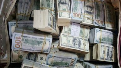 8C5E9CD4 BDC4 4F2A 997D 9D0ACCB8492A