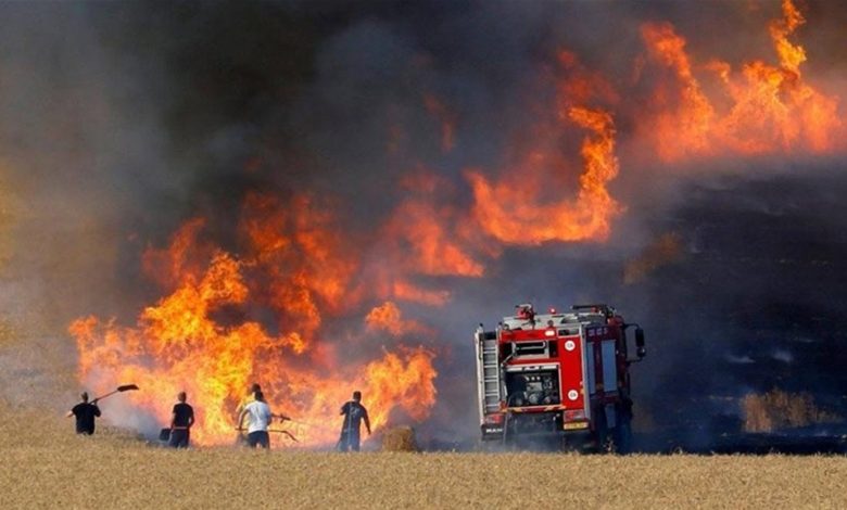 8F937A52 855C 4E39 931D 022F1C769A5D