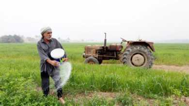 96219CF3 D80F 467A 9730 720E8EF9BA45