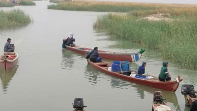 97040FC0 F7D6 49D7 AB38 FC08583AC89B