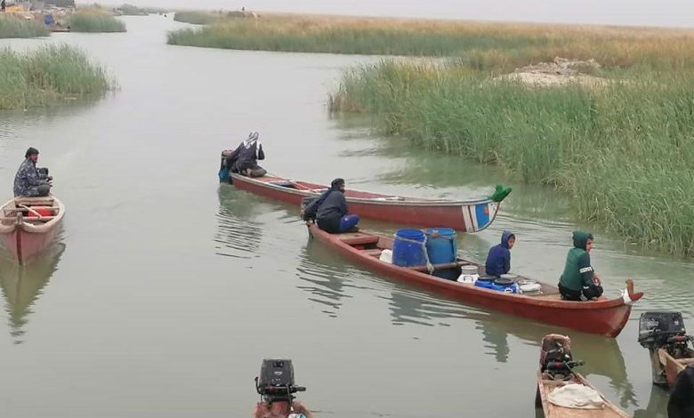 97040FC0 F7D6 49D7 AB38 FC08583AC89B