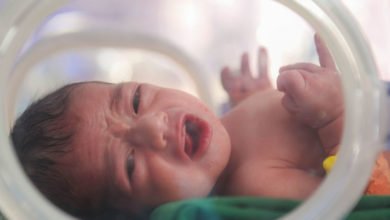 A103A95A 9E79 4A1C 9D12 830663C5194A