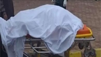 AE090E71 65FA 4515 A173 00DF93131903