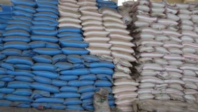 B47F568F 30EB 4834 932F 6F799A22443B