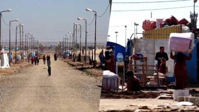 B68388F9 D7BE 41C7 A62C 90F8651B81F0