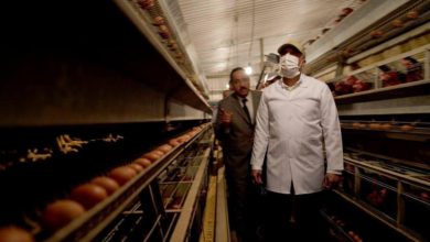 B7811554 7A29 4FFC 9FD8 0E0A7A579E78