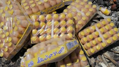 BAFCDE67 D6FC 4451 9435 3763F617C69F