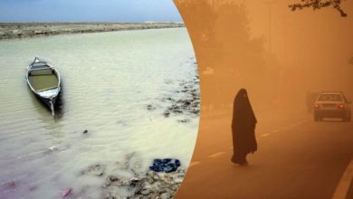 BFF76345 791A 4B20 8F40 99A13F2866B7