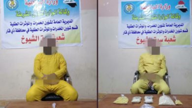 C43BF2D6 999A 44B1 820E 1F7E7FF4E182