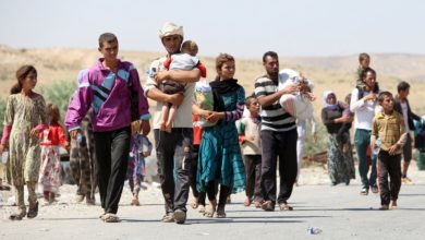 C5C04E1C DA1D 45FE AE45 C0F2524BB3B2