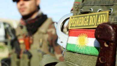 C66E342B BD2A 4E91 A3A1 C8C82FC667CD