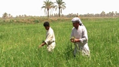 CCC7CF30 36CF 436E BC52 F8C925F314A1