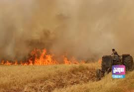 CD293427 9BCF 41C5 9801 CE87A80BD395