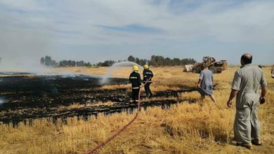 فرق الاطفاء تنقذ 150 دونماً من الحنطة اثر اندلاع حريق ضخم في صلاح الدين 2 CE68BB9C F9F4 474A 98D9 7FE2F0411E5C