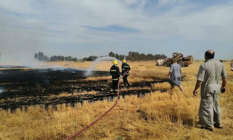 CE68BB9C F9F4 474A 98D9 7FE2F0411E5C