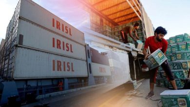 D03E765B B682 4483 B7A5 482176FD59D8