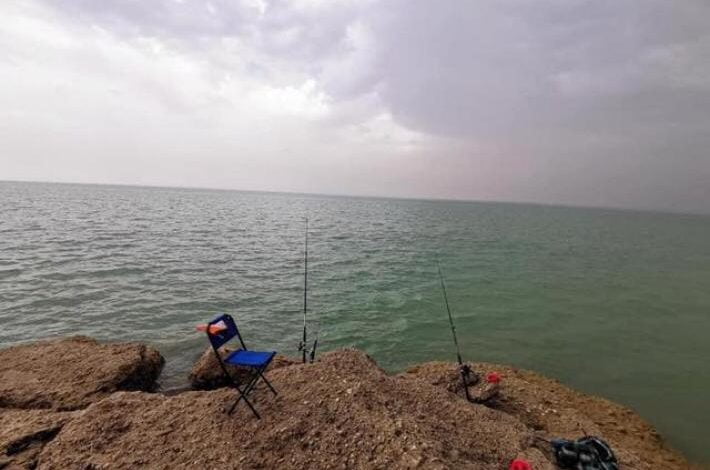 D1684754 28C1 460C 8969 C8BE220D2383