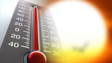 ارتفاع تدريجي في درجات الحرارة اعتبارا من اليوم 13 D2CED75C 8ED2 41B6 9848 2289D0878D25