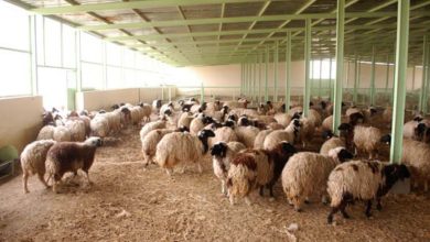 DB0B76FC E7A4 41FE 8A8A 4088775F7C95