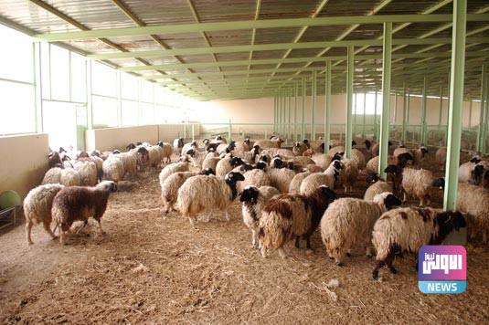 DB0B76FC E7A4 41FE 8A8A 4088775F7C95