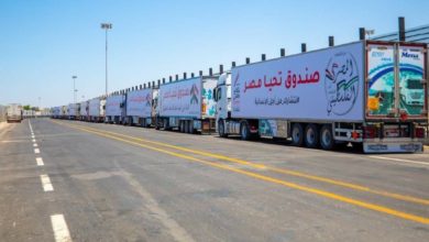 قافلة "صندوق تحيا مصر" تصل ميناء رفح حاملة مساعدات لقطاع غزة(صور) 3 DB4EF1AA 6AF5 408D 9205 D2A43B640954