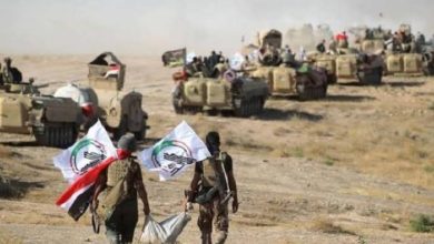 DC1A139C DD74 4ABC 8BD0 E47B4D986956