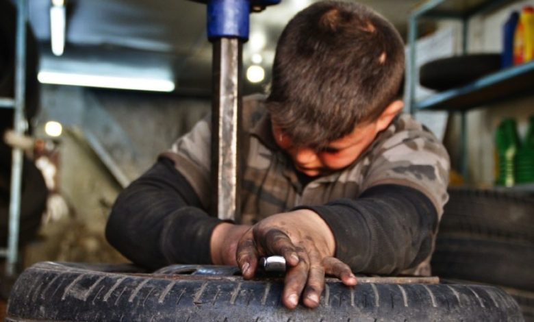 DC1B7B5D 9081 4F81 8219 715904670142