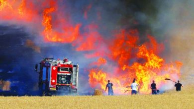 واسط.. الدفاع المدني تخمد حريقاً نشب في حقل للحنطة بمساحة 7 دونم 6 DE598605 160C 4613 AC52 67979253C33B