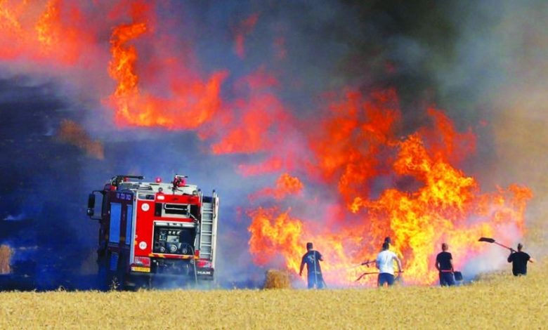 DE598605 160C 4613 AC52 67979253C33B