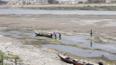 DEE66395 04F7 4892 A447 01181963F747