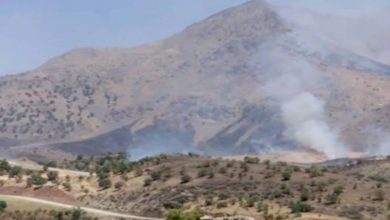 E91AA02D 6E5C 422D 893B 0430035982B1