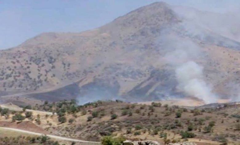 E91AA02D 6E5C 422D 893B 0430035982B1