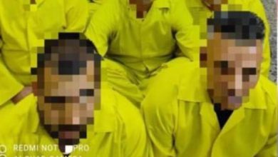 EF9B7EB9 CF66 45AA 8038 9CBCCEA15509