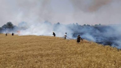 EFFE3154 8366 4281 B802 3825A796DF2F