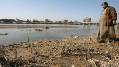 F21B3608 9AB9 4374 BD21 512E426B27FF