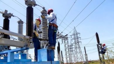 F83860E7 4386 4EA6 8B9D A7260B4F635C