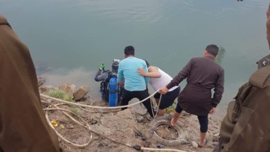 F865B41D 3793 4634 A86C AC075F923D12