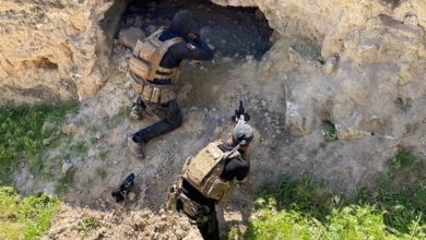 F883D1F9 07C2 4552 8DDD 28750282625F