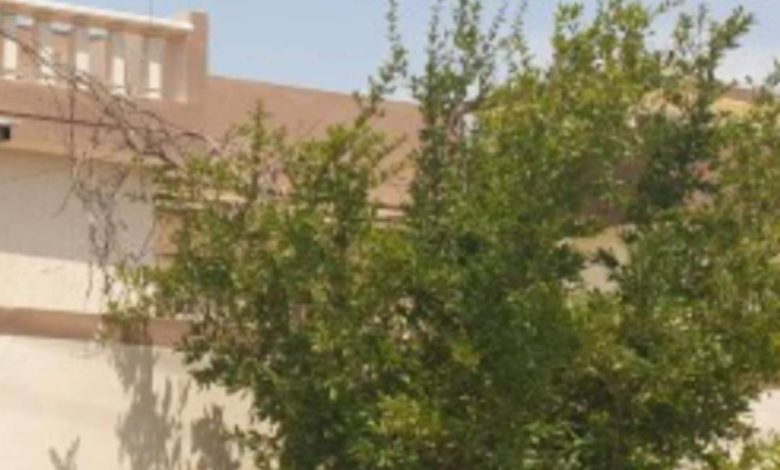 FB IMG 1620425017559