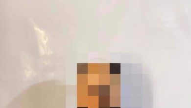 FB IMG 1621358467836