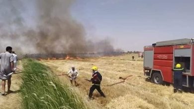 FB IMG 1621525840506