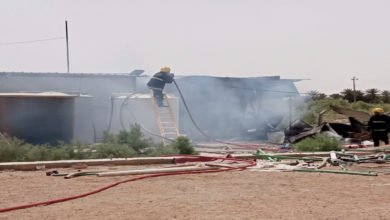 FDF0BC91 0254 4012 81B3 E3309AF9CA0A